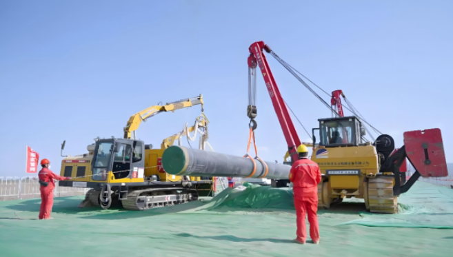 1763952018246805.png 227ebef2d8ca39e41c7ed992a8561024.png